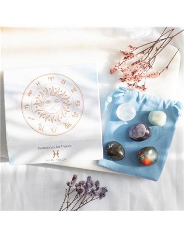 Pisces Crystal Tumblestone Set CE_93523