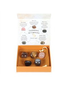 Capricorn Crystal Tumblestone Set CE_93723
