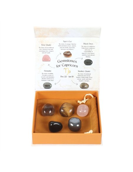 Capricorn Crystal Tumblestone Set CE_93723 - pic 137638 | FastDaddyshop
