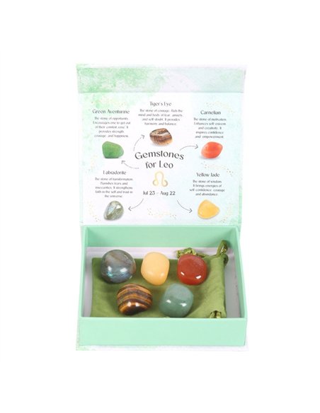 Leo Crystal Tumblestone Set CE_93823 - pic 137643 | FastDaddyshop