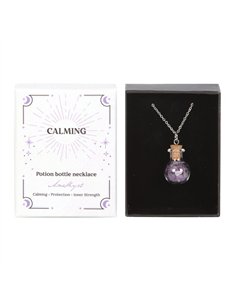Calming Amethyst Crystal Chip Potion Bottle Necklace CW_90724 2