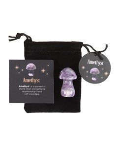 Magical Amethyst Crystal Mushroom  DF_80323