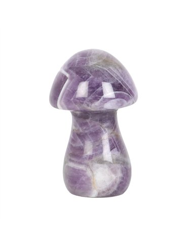 Magical Amethyst Crystal Mushroom  DF_80323