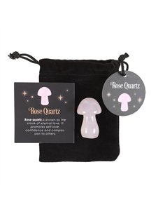 Magical Rose Quartz Crystal Mushroom  DF_80423