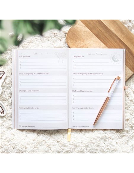 Luna Moth Daily Reflection Journal and Clear Quartz Crystal Pen LL_21625 - pic 137915 | FastDaddyshop