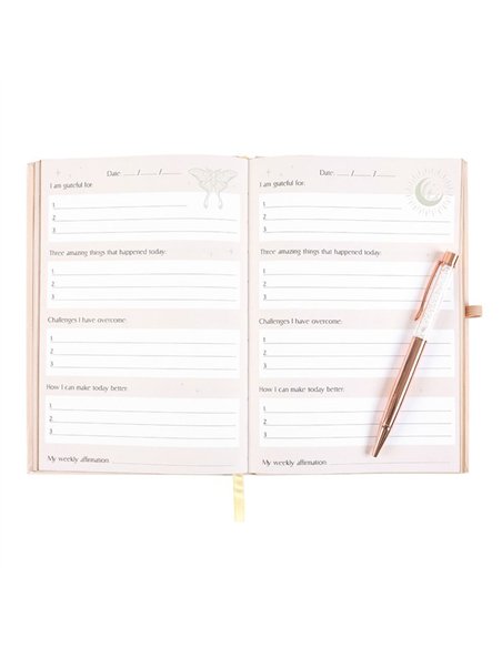 Luna Moth Daily Reflection Journal and Clear Quartz Crystal Pen LL_21625 - pic 137918 | FastDaddyshop