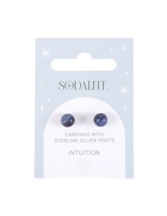 Sodalite Semi Precious Crystal Earrings MG_87423