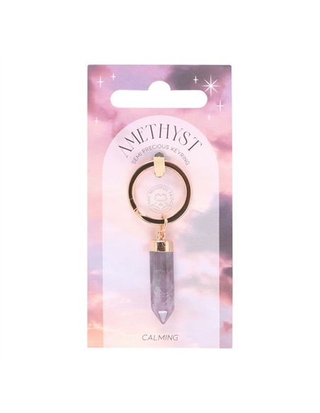 Amethyst Semi Precious Crystal Keyring MG_88023 - pic 137971 | FastDaddyshop