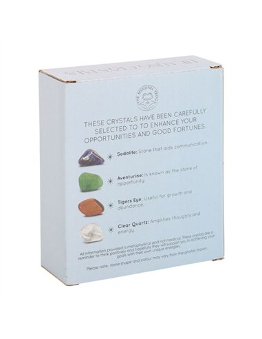Success Healing Crystal Set with Moon Trinket Dish MG_95622