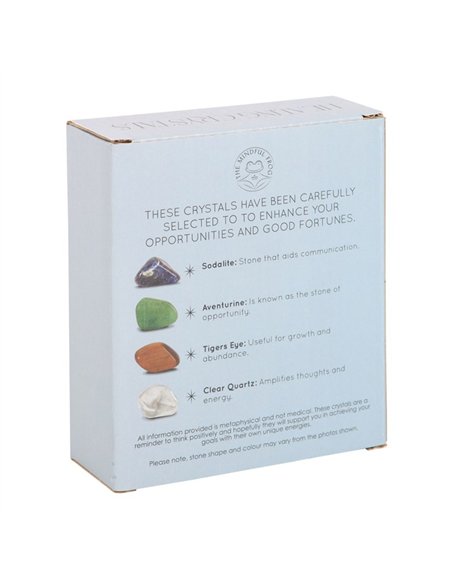 Success Healing Crystal Set with Moon Trinket Dish MG_95622 - pic 138030 | FastDaddyshop