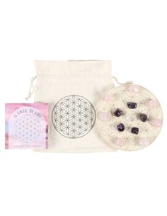 Flower of Life Crystal Grid Set MG_96822