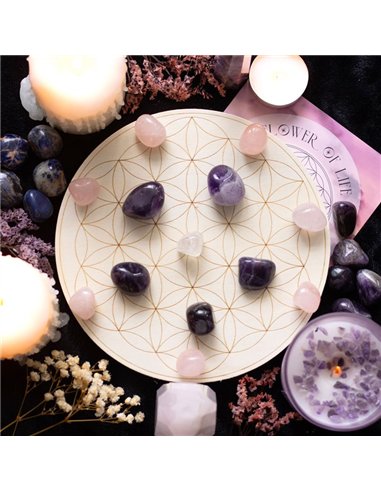 Flower of Life Crystal Grid Set MG_96822