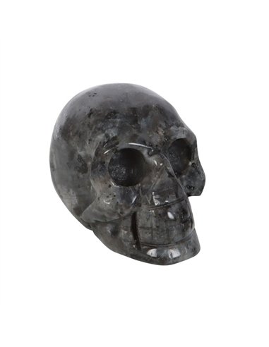 Black Labradorite  Crystal Skull MT_15224