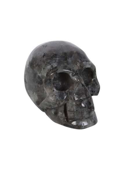 Black Labradorite  Crystal Skull MT_15224 - pic 138123 | FastDaddyshop