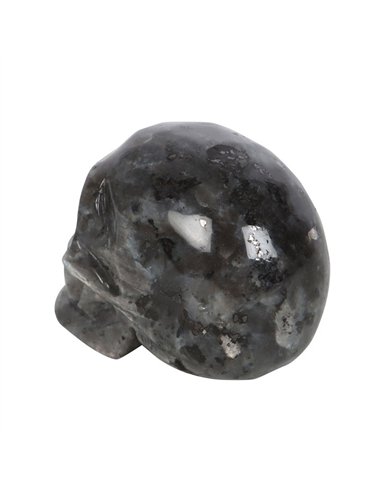 Black Labradorite  Crystal Skull MT_15224