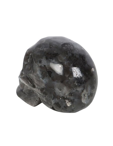 Black Labradorite  Crystal Skull MT_15224 - pic 138124 | FastDaddyshop