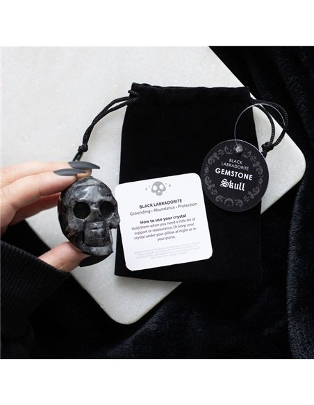 Black Labradorite  Crystal Skull MT_15224 - pic 138126 | FastDaddyshop