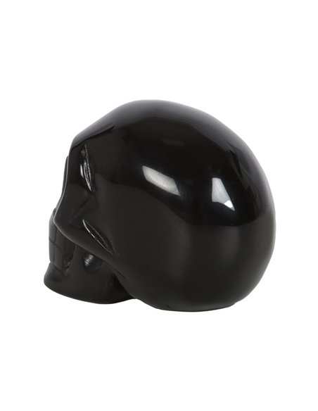 Black Obsidian Crystal Skull MT_15324 - pic 138130 | FastDaddyshop