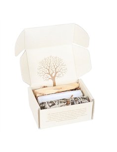 Yerba Santa Crystal Energy Cleansing Kit PS_01725 2