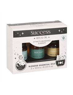 Set of 3 Success Ritual Blended Essential Oils HM_49023