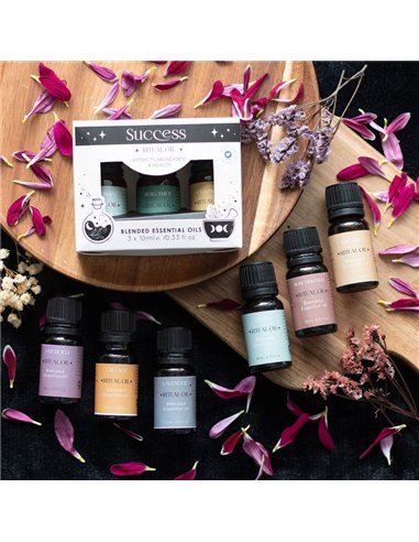 Set of 3 Success Ritual Blended Essential Oils HM_49023