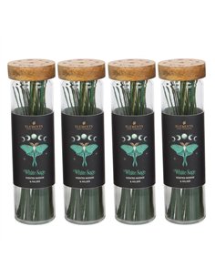 4 Packs of Dark Forest White Sage Incense Sticks DF_63225