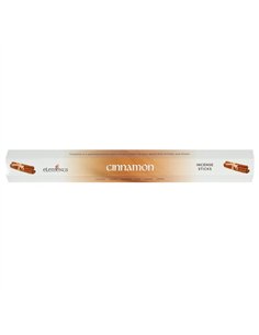 Set of 6 Packets of Elements Cinnamon Incense Sticks IS_84022 2