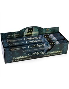 Set of 6 Packets of Confidence Spell Incense Sticks by Lisa Parker IS_88422