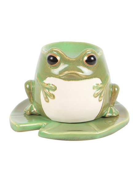 Frog Shaped Oil Burner on Lily Pad EF_49124 - pic 139311 | FastDaddyshop