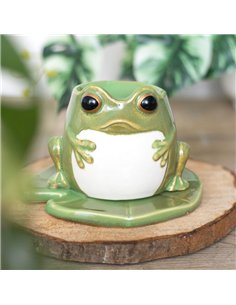 Frog Shaped Oil Burner on Lily Pad EF_49124 2