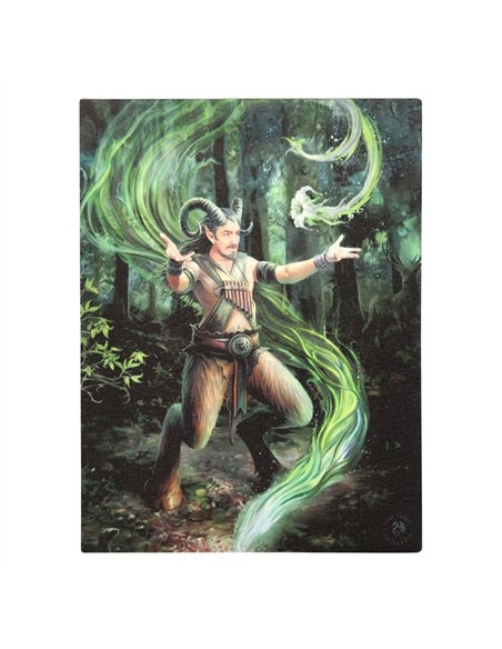 19x25cm Earth Element Wizard Canvas Plaque by Anne Stokes AS_71022 - pic 140031 | FastDaddyshop