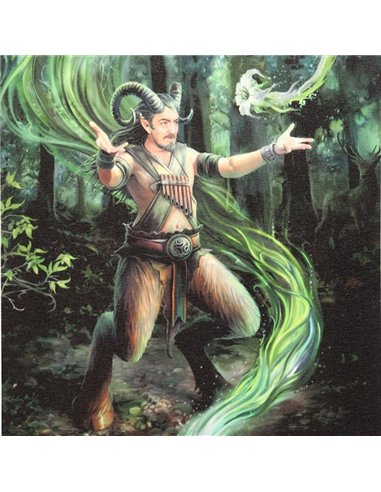 19x25cm Earth Element Wizard Canvas Plaque by Anne Stokes AS_71022