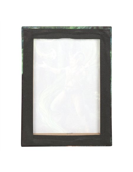 19x25cm Earth Element Wizard Canvas Plaque by Anne Stokes AS_71022 - pic 140033 | FastDaddyshop