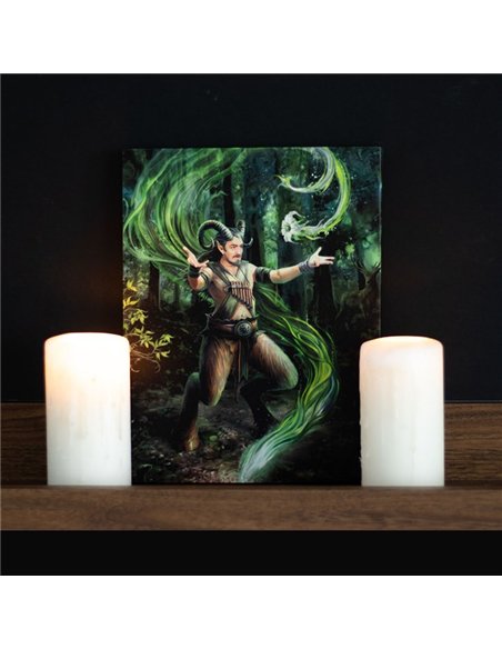 19x25cm Earth Element Wizard Canvas Plaque by Anne Stokes AS_71022 - pic 140034 | FastDaddyshop