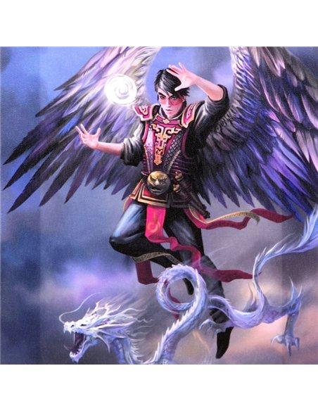 19x25cm Air Element Wizard Canvas Plaque by Anne Stokes AS_71122 - pic 140037 | FastDaddyshop