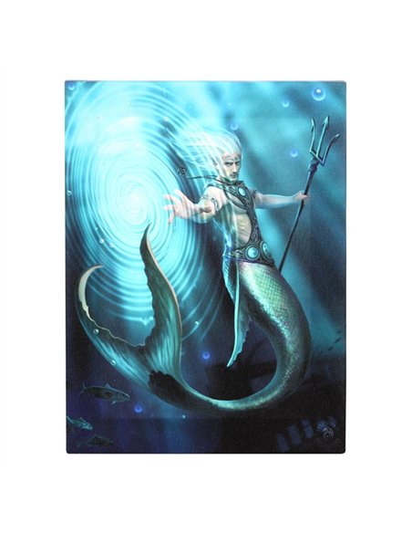 19x25cm Water Element Wizard Canvas Plaque by Anne Stokes AS_71222 - pic 140041 | FastDaddyshop