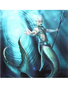 19x25cm Water Element Wizard Canvas Plaque by Anne Stokes AS_71222 2