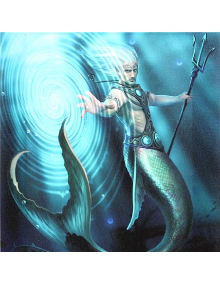 19x25cm Water Element Wizard Canvas Plaque by Anne Stokes AS_71222 - pic 140042 | FastDaddyshop