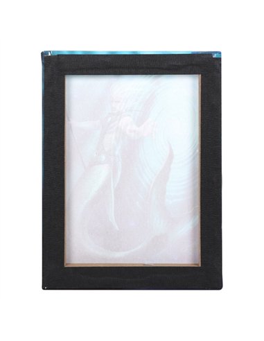 19x25cm Water Element Wizard Canvas Plaque by Anne Stokes AS_71222