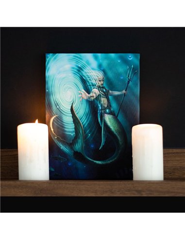 19x25cm Water Element Wizard Canvas Plaque by Anne Stokes AS_71222