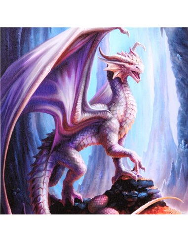 19x25cm Treasure Trove Canvas Plaque by Anne Stokes AS_73922
