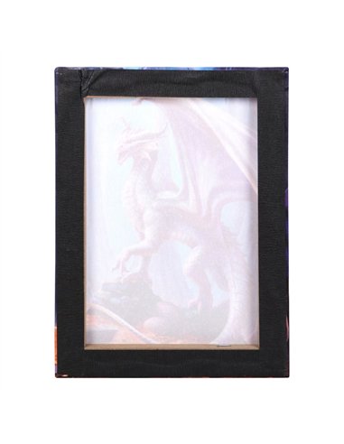 19x25cm Treasure Trove Canvas Plaque by Anne Stokes AS_73922
