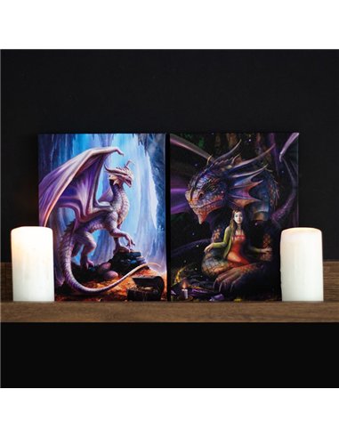 19x25cm Treasure Trove Canvas Plaque by Anne Stokes AS_73922