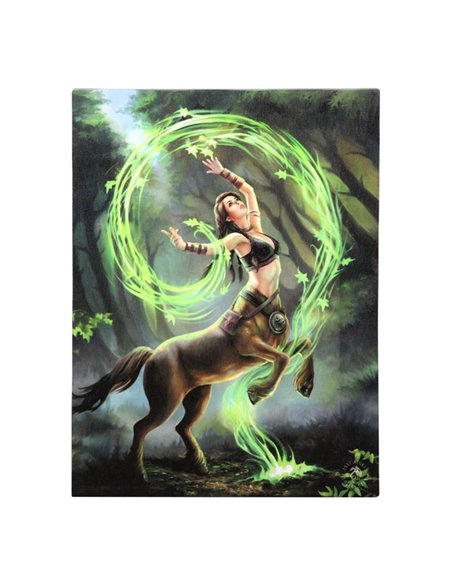 19x25cm Earth Element Sorceress Canvas Plaque by Anne Stokes AS_98122 - pic 140069 | FastDaddyshop