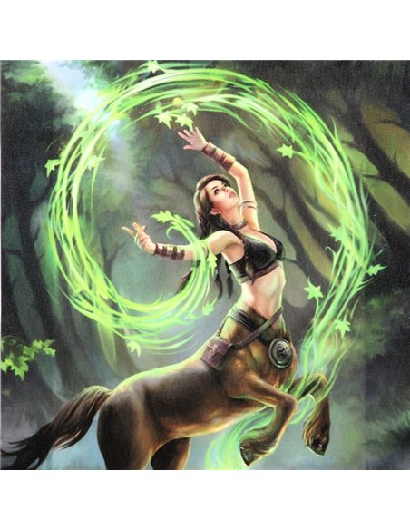 19x25cm Earth Element Sorceress Canvas Plaque by Anne Stokes AS_98122 - pic 140070 | FastDaddyshop