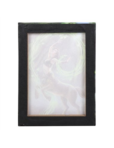 19x25cm Earth Element Sorceress Canvas Plaque by Anne Stokes AS_98122