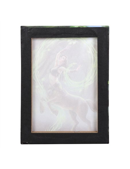 19x25cm Earth Element Sorceress Canvas Plaque by Anne Stokes AS_98122 - pic 140071 | FastDaddyshop
