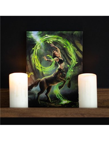 19x25cm Earth Element Sorceress Canvas Plaque by Anne Stokes AS_98122