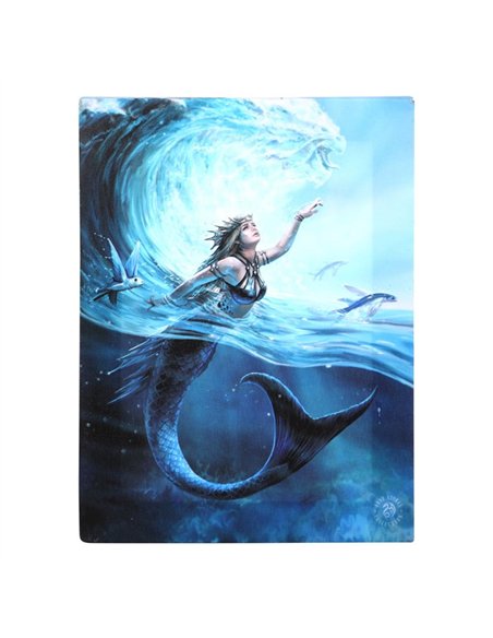 19x25cm Water Element Sorceress Canvas Plaque by Anne Stokes AS_98322 - pic 140079 | FastDaddyshop