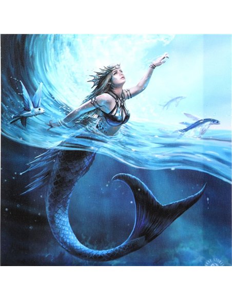 19x25cm Water Element Sorceress Canvas Plaque by Anne Stokes AS_98322 - pic 140080 | FastDaddyshop